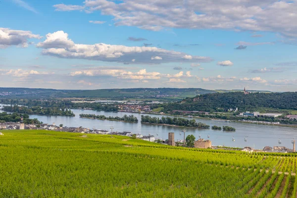 風光明媚なブドウ畑の風景と川ラインビューでドイツのRuedesheim — ストック写真