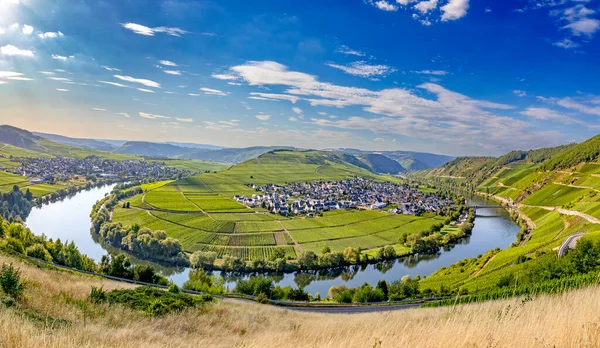 Bucle Panorámico Del Río Moselle Leiwen Trittenheim Alemania — Foto de Stock