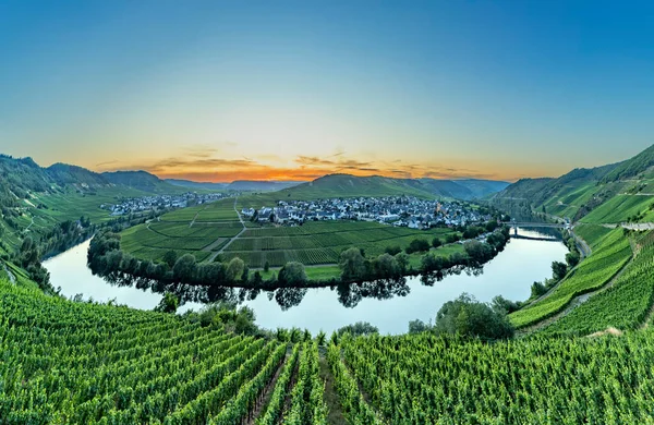 scenic moselle river loop at Leiwen, Trittenheim in Germany