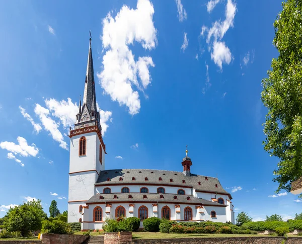 Scenic View Old Town Church Martin Eltville Germany — Stock Photo, Image