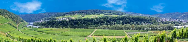 Malebný Pohled Vesnici Zell Údolí Moselle — Stock fotografie