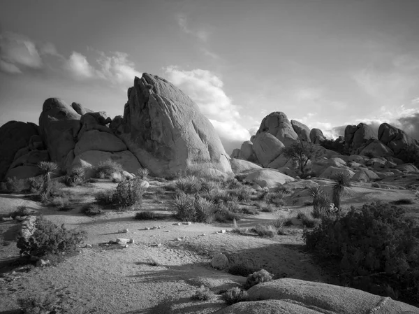 Formación Rocas Parque Nacional Joshua Tree Luz Del Atardecer —  Fotos de Stock