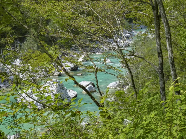 Vista Famoso Cañón Tolmin Slowenia — Foto de Stock