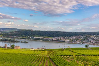 Ruedesheim, Almanya 'da Ren nehri manzaralı manzara.