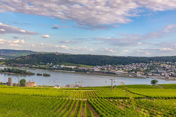 風光明媚なブドウ畑の風景と川ラインビューでドイツのRuedesheim — ストック写真