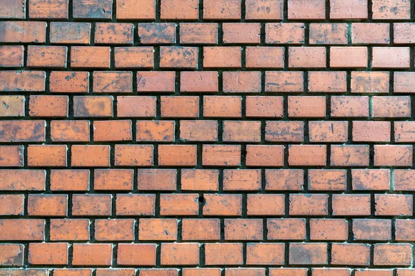 Modèle Vieux Mur Briques Comme Fond Harmonique — Photo