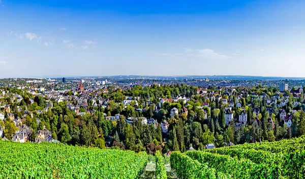 ドイツのヴィースバーデンは 都市のパノラマを見ることができるその北の丘 ネロベルクから見たように ブドウ畑は前景であり Marktkircheは街のスカイラインで際立っています — ストック写真
