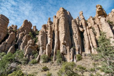 Arizona, ABD 'deki Chiricahua Ulusal Parkı' ndaki manzaralı kayalar.