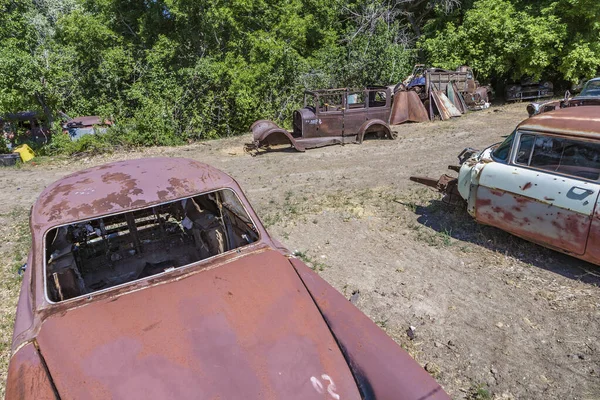 junk yard with old beautiful oldtimers on the route 89