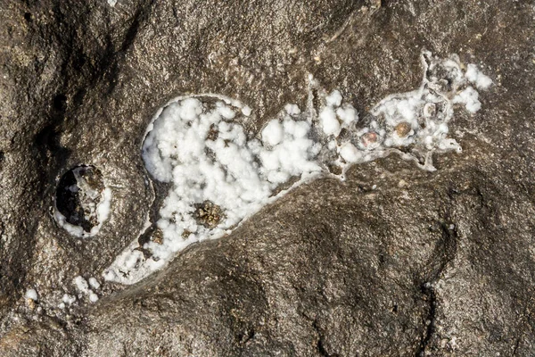 黑岩上的干海盐 — 图库照片