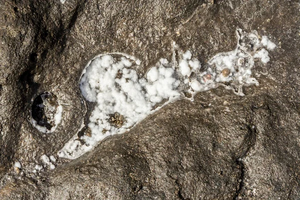 Sale Marino Secco Una Roccia Nera — Foto Stock