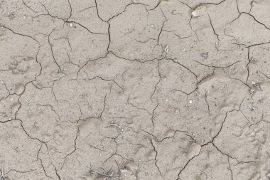 Yağmurdan ve sıcak güneşten sonra çatlamış kil arkaplanı