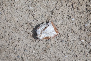 Yağmurdan ve sıcak güneşten sonra çatlamış kil arkaplanı