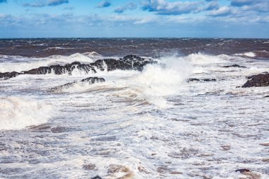 Nova Scotia Kanada 'da ArisaigLighthouse Liverpool