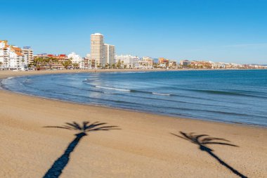 Palmiye ağaçlarının gölgesi altında Peniscola 'nın güzel plajı