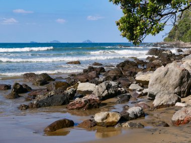 Yeni Zelanda sahilinde Pauanui döngü yürüyüşü