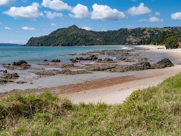 Natursköna Pauanui Loop Promenad Vid Nya Zeelands Kust — Stockfoto