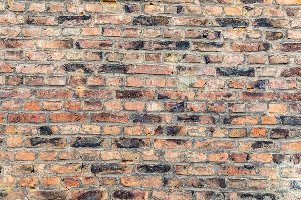 Background Brick Wall — Stock Photo, Image