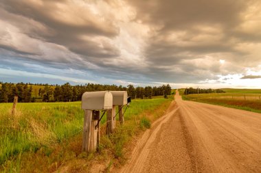 Image of a classic backcountry dirt road in the Midwest with a perspective of the road leading to nowhere and mail boxes alongside sideroads. clipart