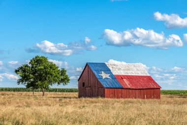 An abandoned old barn with the symbol of Texas painted on the roof sits in a rural area of the state, framed by farmland clipart
