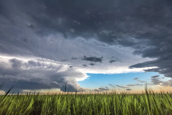 Mesocyklon Vädersupercell Som Pre Tornado Skede Passerar Över Gräsbevuxen Del — Stockfoto