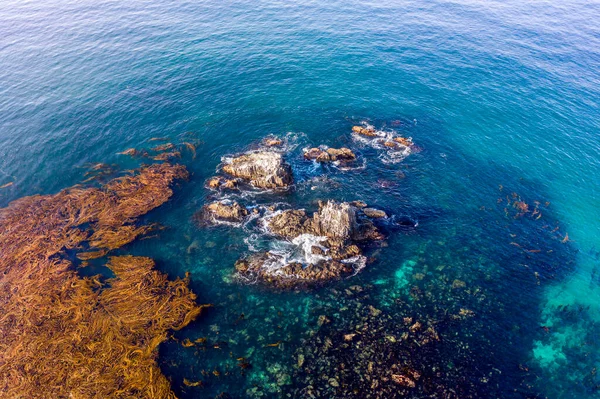 Immagine Aerea Drone Famose Seal Rocks Laguna Beach Sito Immersioni — Foto Stock