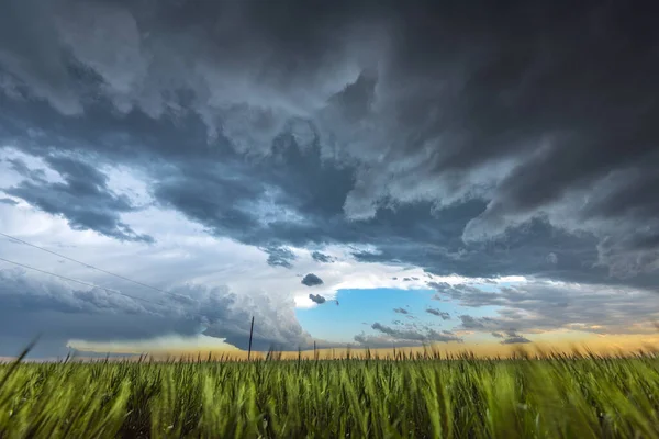 龙卷风前的一个中等气旋天气超级电池 在强烈地试图形成龙卷风的同时 穿过了大平原的一片青草 — 图库照片