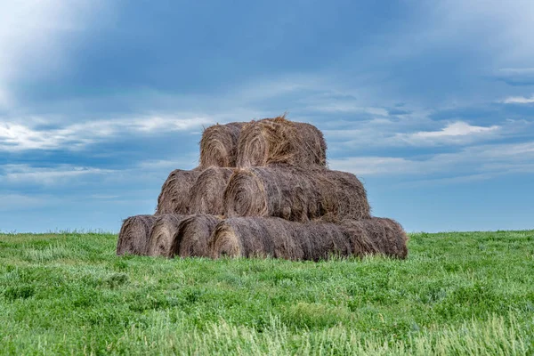 Tjugo Höbalar Staplade Bergssluttning Gård Mellanvästern Höet Används Som Foder — Stockfoto