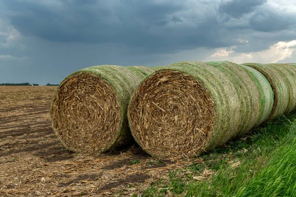 中西部一个农场的山坡上堆放着20包干草 干草被用作各种农场动物的饲料 — 图库照片