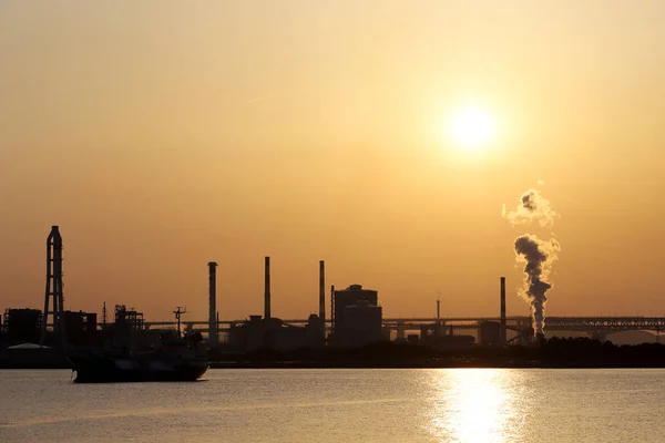 Landschap Bij Zonsondergang Plant Uitzicht Zee — Stockfoto