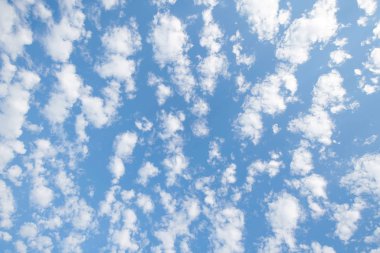 Background of cirrocumulus cumulus clouds with a blue sky                               clipart