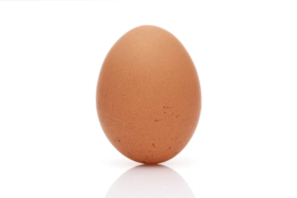 Коричневое Яйцо Белом Фоне Студийном Снимке — стоковое фото