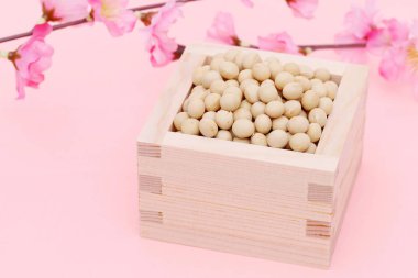 Geleneksel Japon etkinliği, soya fasulyesi geleneksel bir etkinlikte kullanılır / Setsubun.