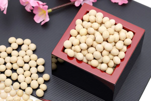 日本的传统活动 大豆在一年一度的活动中使用 — 图库照片