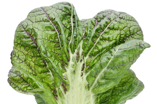 Textura Hoja Verdura Verde Cerca Fibras Hoja Takana —  Fotos de Stock