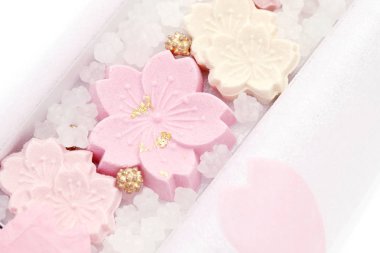 Japon şekerlemeleri, wasanbon adı verilen el yapımı şekerler.