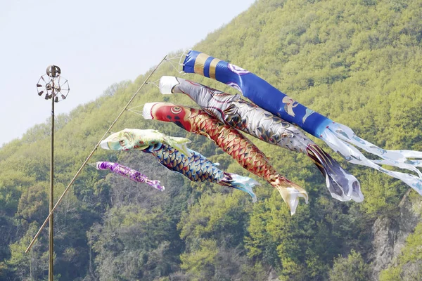 Japon Koinobori Sazan Balığı Uçurtması Çocuk Günü Süslemesi — Stok fotoğraf