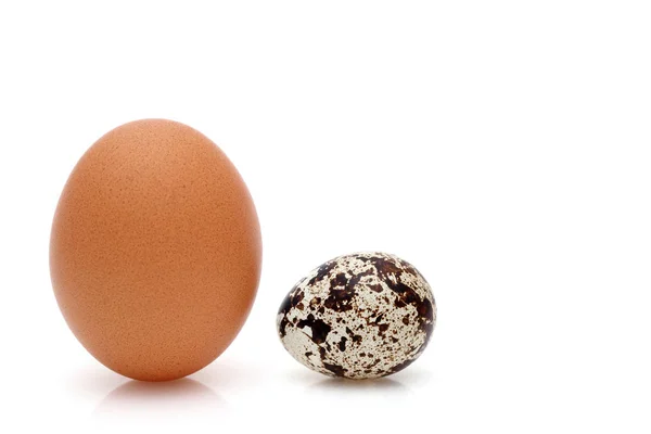 白い背景に茶色の鶏の卵と小さなウズラの卵 — ストック写真