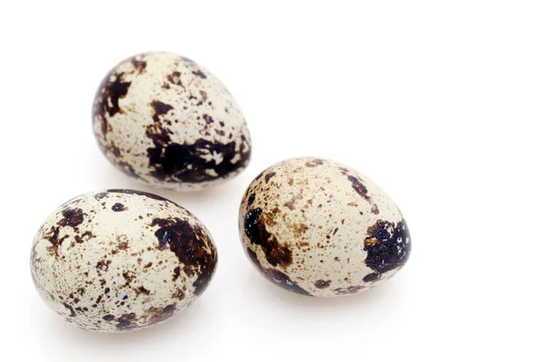 Três Ovos Codorna Isolados Sobre Fundo Branco — Fotografia de Stock