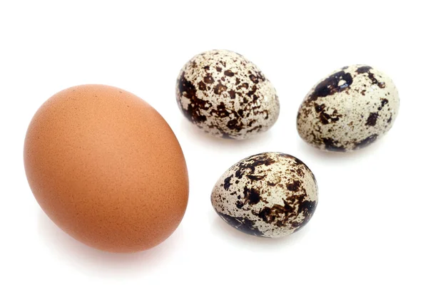 Hnědé Kuřecí Vajíčko Malé Křepelové Vajíčko Bílém Pozadí — Stock fotografie