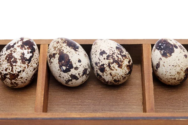 鹌鹑蛋在白色背景的木盒中 — 图库照片