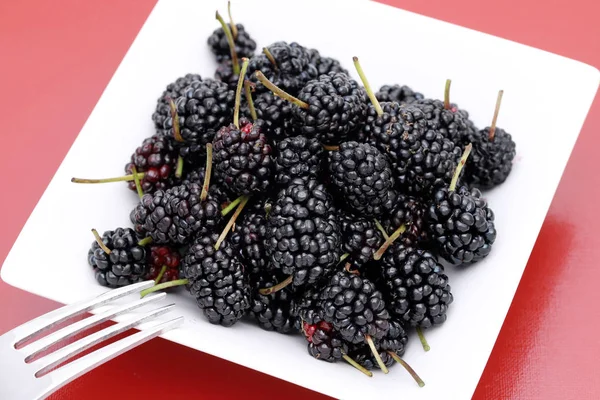 Healthy Delicious Ripe Mulberry Fruit Bowl — Stock Photo, Image