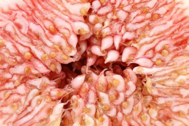 Tohumları ile olgun bir tatlı incir içinde yakın  