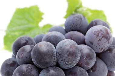 Beyaz arka plan üzerinde izole olgun kara üzüm demet