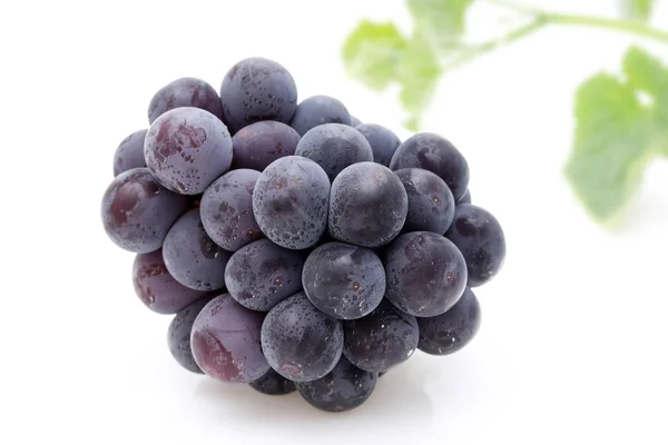 串白色背景上孤立的成熟黑葡萄 — 图库照片