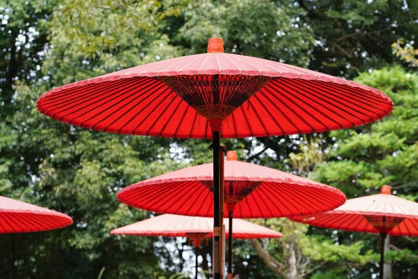 Guarda Chuva Vermelho Usado Cerimônia Chá Matcha Japonês — Fotografia de Stock