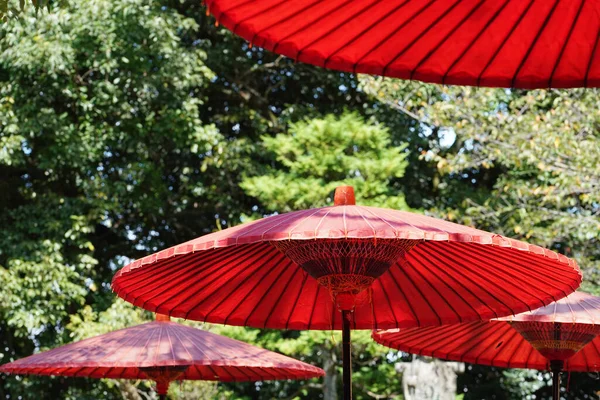 红色雨伞 用于日本马茶茶道仪式 — 图库照片