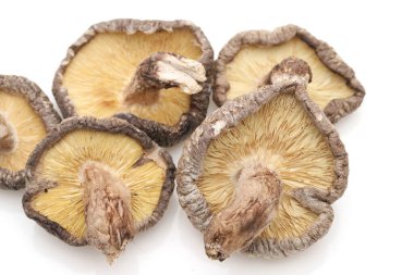 Beyaz arka planda Japon kurutulmuş shiitake mantarı. 