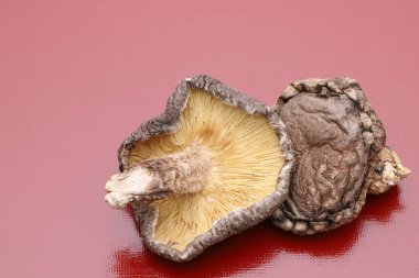 Japon kurutulmuş şitake mantarları kırmızı arka planda. 
