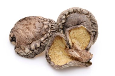 Beyaz arka planda Japon kurutulmuş shiitake mantarı.  